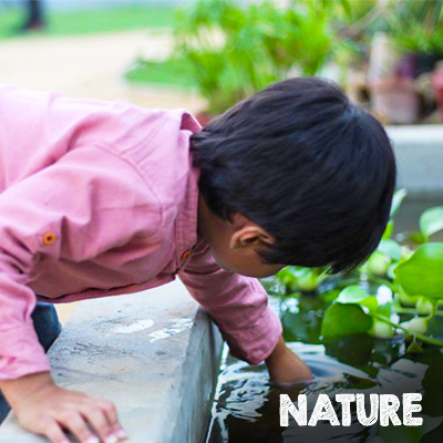 Nature-Banner-Mobile